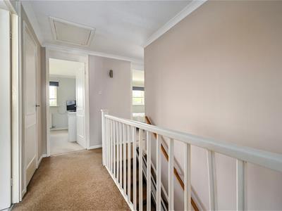Picture 24